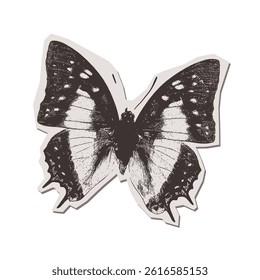 Butterfly isolated torn put paper sticker in stippling halftone collage style. Pop art illustration. Vector png.