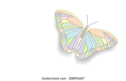 Butterfly isolated vector