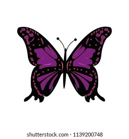 Butterfly Isolated vector. Botanical illustration. Universal templates for invitation or packaging, scrapbooking. eps 10