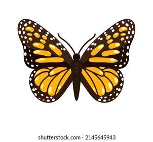 butterfly  isolated vector illustration background