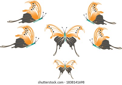 A butterfly isolated from a white background