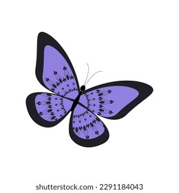 Mariposa con patrón de encaje para el diseño de tarjetas, fondos, invitaciones.