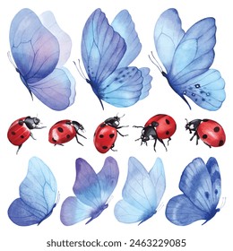 Butterfly, ladybug, ladybird, insects. Watercolor illustration. Colorful blue butterfly clipart set. Baby shower design elements. Party invitation, birthday celebration. Spring, summer decoration, art