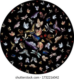 Butterfly, ladybugs, bees, dragonflies in circle, elements insects in black circle