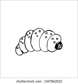 butterfly larva vector sketch