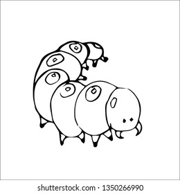 butterfly larva vector sketch