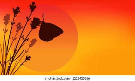 Butterfly and lavender. Sunset vector illustration 16:9 aspect ratio