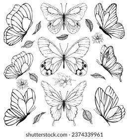 Butterfly leaves flowers art tattoo design poster print art room decor wall design abstract sketch nature artist inspired summer spring wedding vibe insect wings doodle decoration elegance delicate