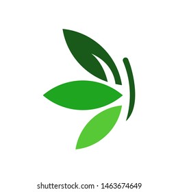 Butterfly with leaves logo template vector icon design