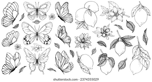 Mariposa limones conjunto de verano diseño tatuaje estampado decoración de sala de arte diseño de pared sketch abstracto naturaleza artista inspirado en la boda primavera de verano vibe insectos alas flor doodle decoración elegancia