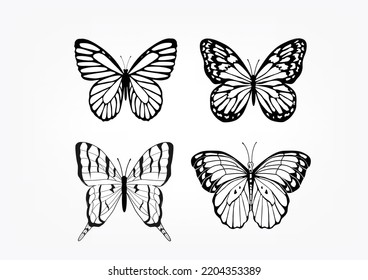 butterfly leopard hand drawn design