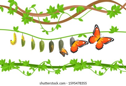 Butterfly life cycle colorful flat vector illustration. Caterpillar, cocoon and butterfly metamorphosis, transformation, change. Egg, larva, pupa and adult transition. Insects on tree leaves.