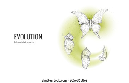 Butterfly life cycle in digital futuristic style. Insect life cycle, a transformation from caterpillar to butterfly. The concept of a successful startup or investment or business transformation