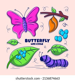 Butterfly Life Cycle Illustration with Colored hand drawn doodle style