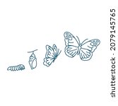butterfly life cycle vector line art illustration icon 