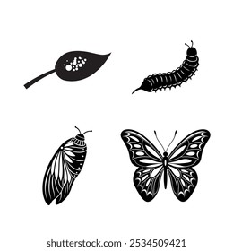 butterfly life cycle vector line art silhouette