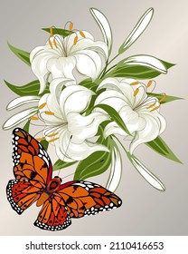 Butterfly   lilies in the illustration Bouquet white lilies   bright butterfly in vector illustration 