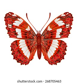 Butterfly Limenitis camilla  vector illustration 