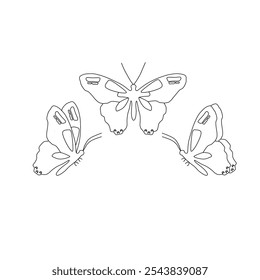 Butterfly line art isolated on a white background