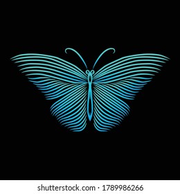 butterfly line art vector illustration