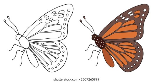 Butterfly Line Art Vector Outline Illustration Black and White with Coloring Sample