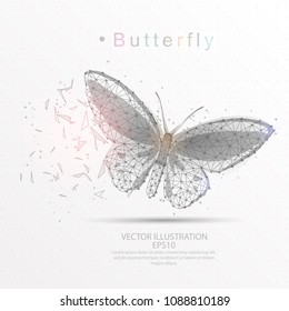 Butterfly line and composition digitally drawn of triangle shape and scattered dots low poly wire frame on white background.