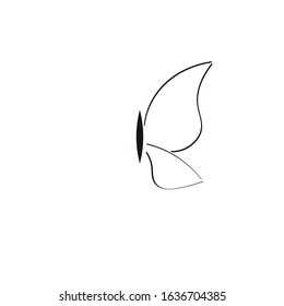 butterfly line draw logo vector illustration isolated on white background