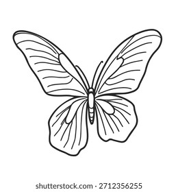 Butterfly Line Drawing. Abstract Simple Line Art of Butterfly for Trendy Design. Insect Flying Simple Doodle Sketch Vector Illustration. Not AI