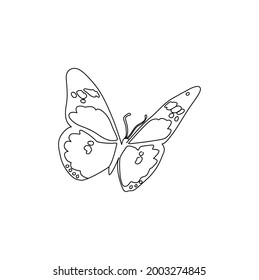 Butterfly Line Drawing Clip Art 