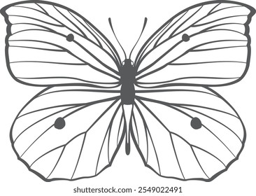 Dibujo de línea de mariposa. Contorno negro de insecto volador