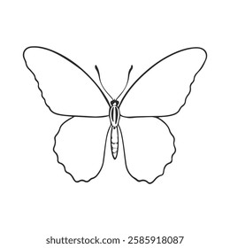 Butterfly Line Drawing. Minimalistic Sketch Linear Design of Simple Silhouette Butterfly for Logo, Business Design, Prints, Social Media, Web. Vector Illustration