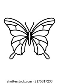 Butterfly line icon. Beautiful machaon butterfly shape with large typically wings and antennae. Thin line butterfly outline icon illustration. Editable stroke.