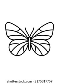 Butterfly line icon. Beautiful monarch butterfly shape with large typically wings and antennae. Thin line butterfly outline icon illustration. Editable stroke.