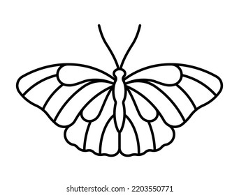 Butterfly line icon. Beautiful butterfly shape with large typically wings and antennae. Thin line butterfly outline icon illustration. Editable stroke.