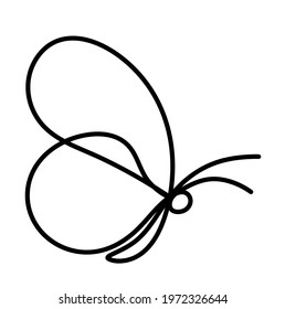 Butterfly line icon, isolated on the white. Vector