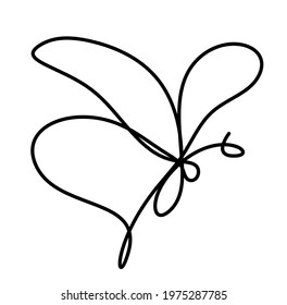 Butterfly line icon, isolated on the white. Vector