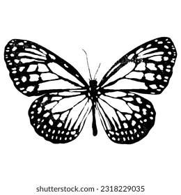 Butterfly. Linocut handmade vector illustration. Black color. Isolated on white