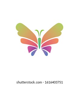 butterfly logo color design beauty animal template