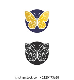 Butterfly logo design animal insect and conceptual simple, colorful icon Logo Vector illustration
