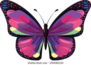 Butterfly logo design initial logo design 
