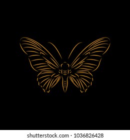 butterfly logo design template