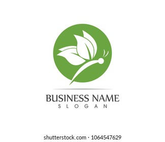 Butterfly logo design vector illustration