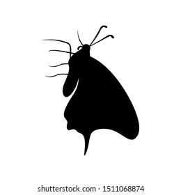Butterfly logo design vector. Butterfly logo template illustration