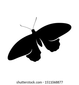 Butterfly logo design vector. Butterfly logo template illustration
