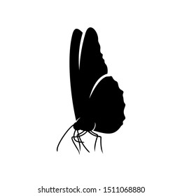 Butterfly logo design vector. Butterfly logo template illustration