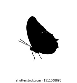 Butterfly logo design vector. Butterfly logo template illustration