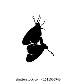 Butterfly logo design vector. Butterfly logo template illustration