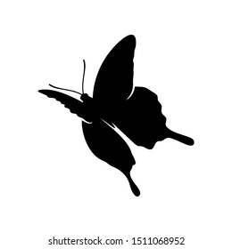 Butterfly logo design vector. Butterfly logo template illustration