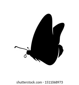 Butterfly logo design vector. Butterfly logo template illustration