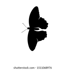 Butterfly logo design vector. Butterfly logo template illustration